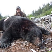 Black Bear hunting - Vancouver Island, BC, Canada